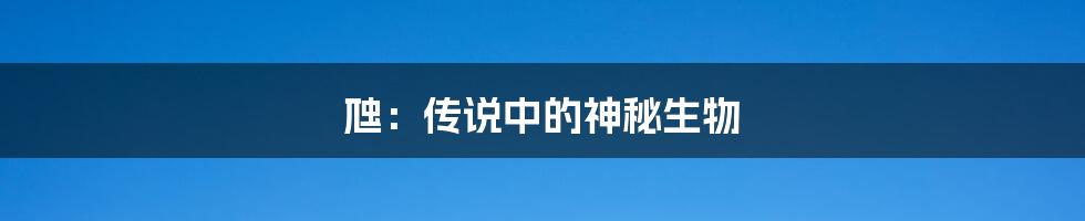 虺：传说中的神秘生物