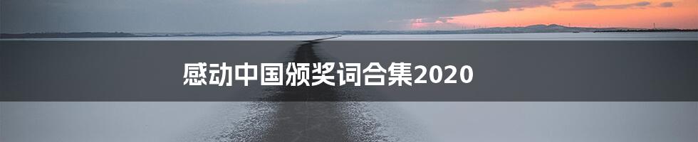 感动中国颁奖词合集2020