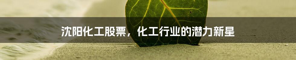沈阳化工股票,化工行业的潜力新星