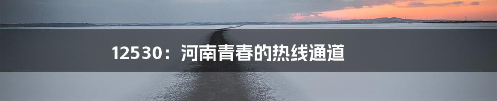 12530：河南青春的热线通道