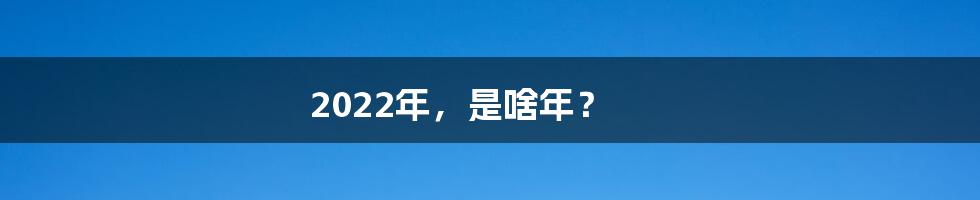 2022年，是啥年？
