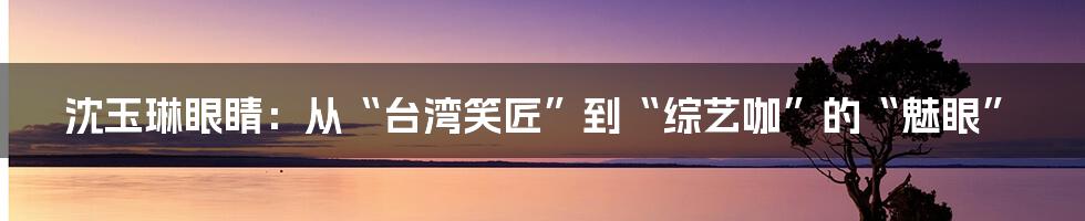 沈玉琳眼睛:从“台湾笑匠”到“综艺咖”的“魅眼”
