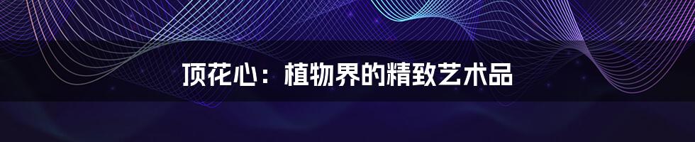 顶花心:植物界的精致艺术品