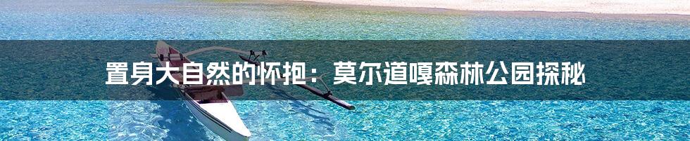 置身大自然的怀抱:莫尔道嘎森林公园探秘