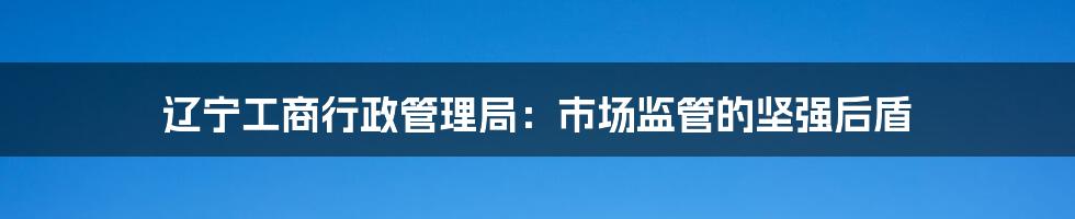 辽宁工商行政管理局：市场监管的坚强后盾