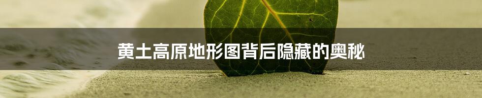 黄土高原地形图背后隐藏的奥秘