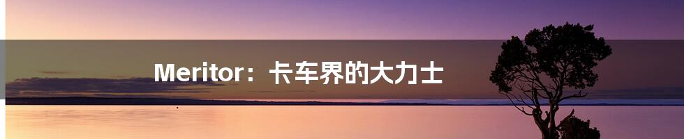 Meritor：卡车界的大力士