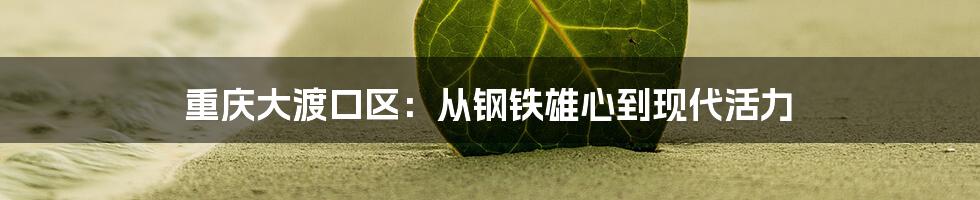 重庆大渡口区:从钢铁雄心到现代活力