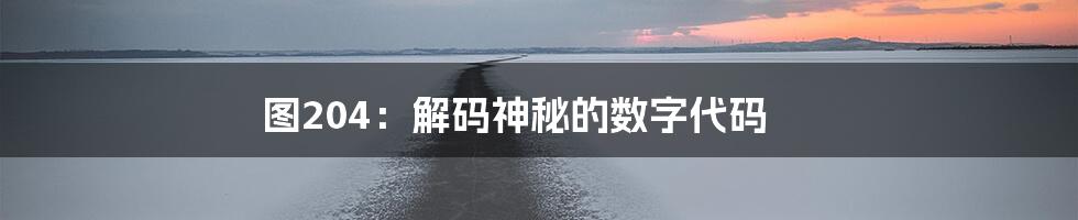 图204：解码神秘的数字代码