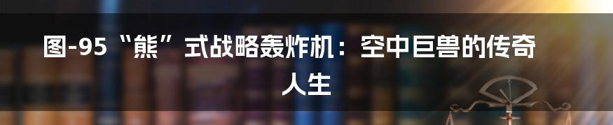 图-95“熊”式战略轰炸机：空中巨兽的传奇人生
