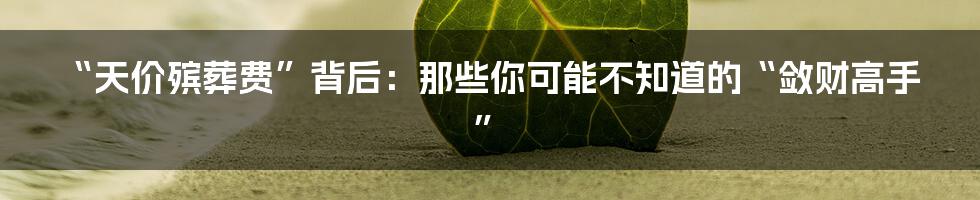 “天价殡葬费”背后:那些你可能不知道的“敛财高手”