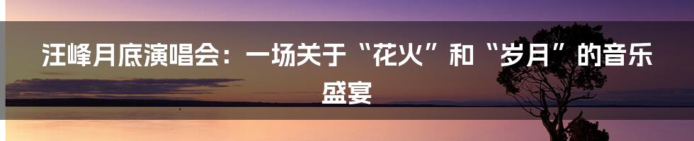 汪峰月底演唱会:一场关于“花火”和“岁月”的音乐盛宴