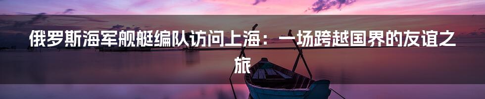 俄罗斯海军舰艇编队访问上海：一场跨越国界的友谊之旅