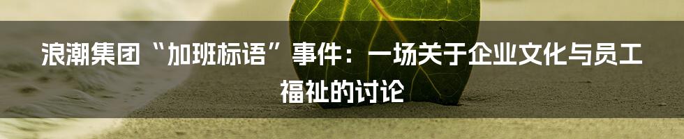 浪潮集团“加班标语”事件:一场关于企业文化与员工福祉的讨论