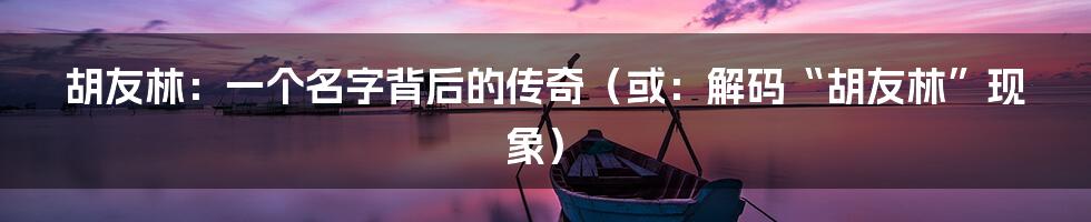 胡友林：一个名字背后的传奇（或：解码“胡友林”现象）
