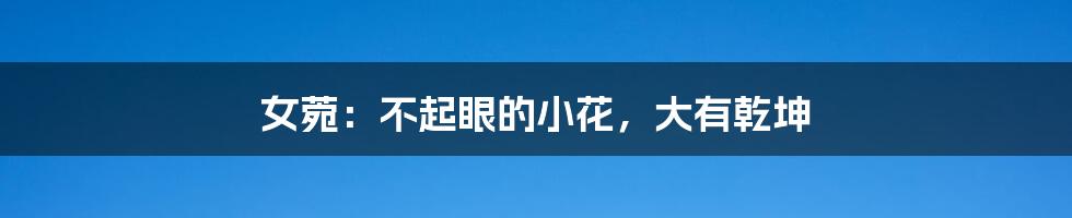 女菀：不起眼的小花，大有乾坤
