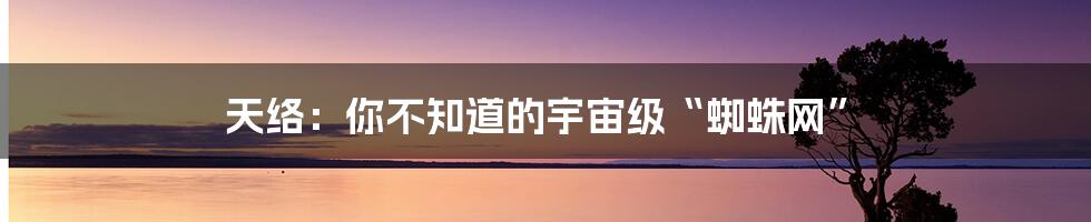 天络:你不知道的宇宙级“蜘蛛网”