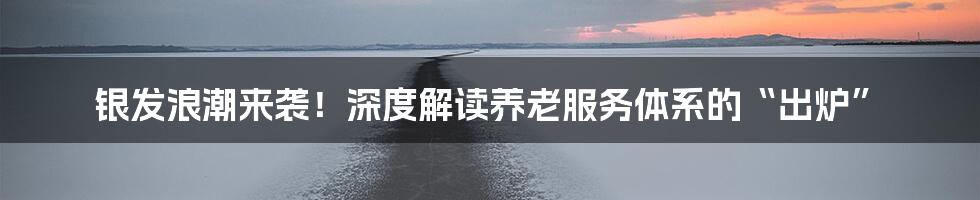 银发浪潮来袭!深度解读养老服务体系的“出炉”