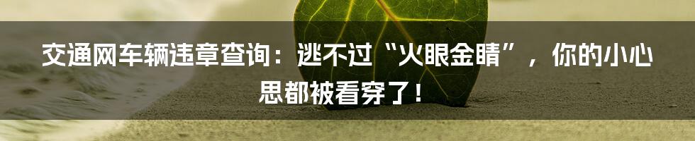 交通网车辆违章查询:逃不过“火眼金睛”,你的小心思都被看穿了!