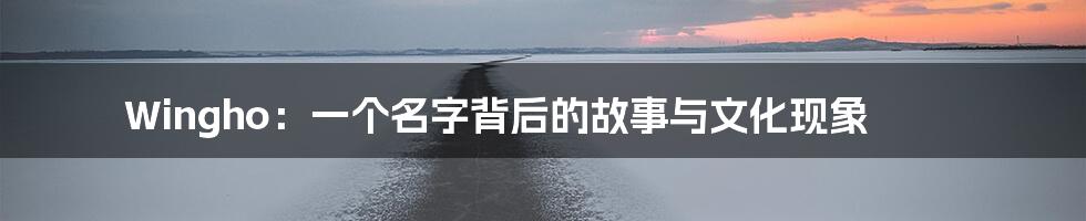 Wingho：一个名字背后的故事与文化现象