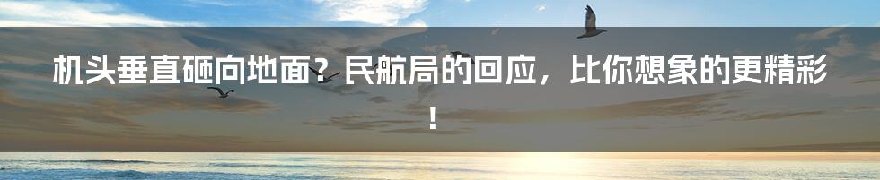 机头垂直砸向地面?民航局的回应,比你想象的更精彩!