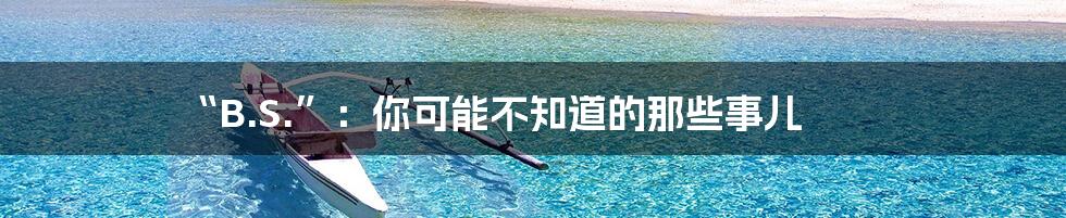 “B.S.”：你可能不知道的那些事儿