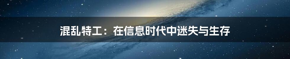 混乱特工：在信息时代中迷失与生存