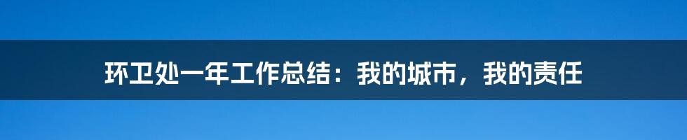 环卫处一年工作总结:我的城市,我的责任