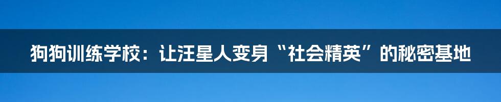 狗狗训练学校：让汪星人变身“社会精英”的秘密基地