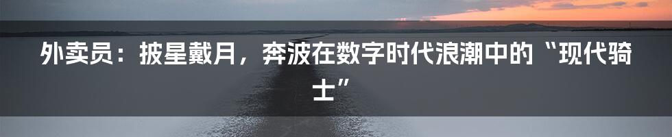外卖员：披星戴月，奔波在数字时代浪潮中的“现代骑士”