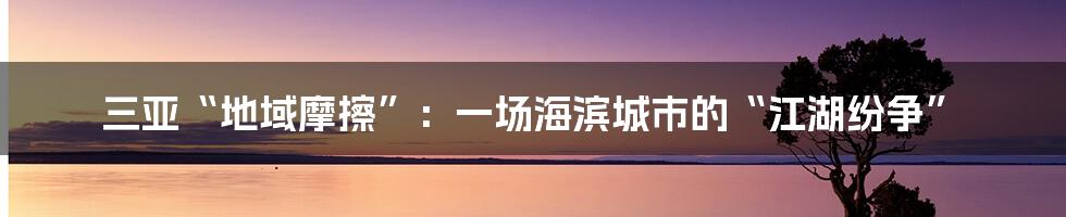 三亚“地域摩擦”：一场海滨城市的“江湖纷争”