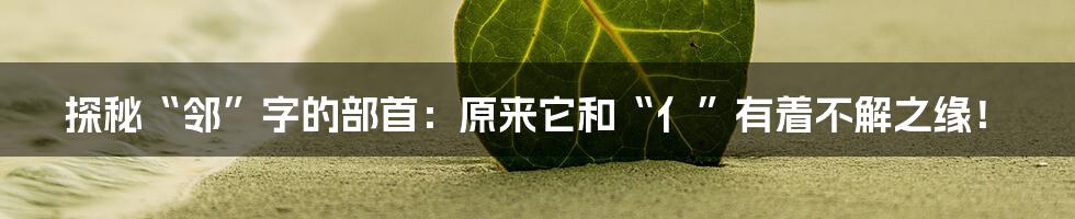 探秘“邻”字的部首：原来它和“亻”有着不解之缘！