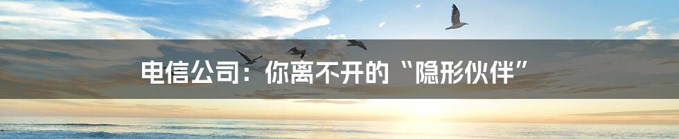 电信公司:你离不开的“隐形伙伴”