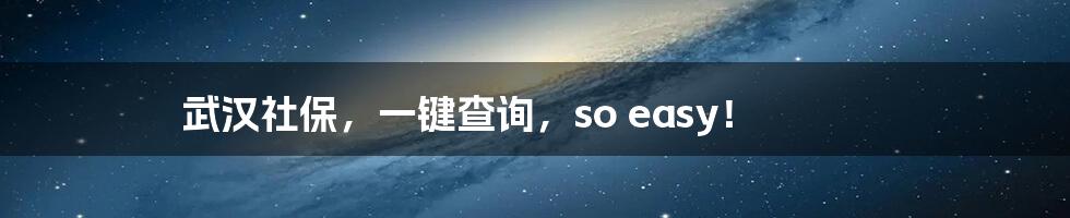 武汉社保,一键查询,so easy!