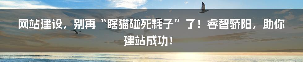 网站建设,别再“瞎猫碰死耗子”了!睿智骄阳,助你建站成功!