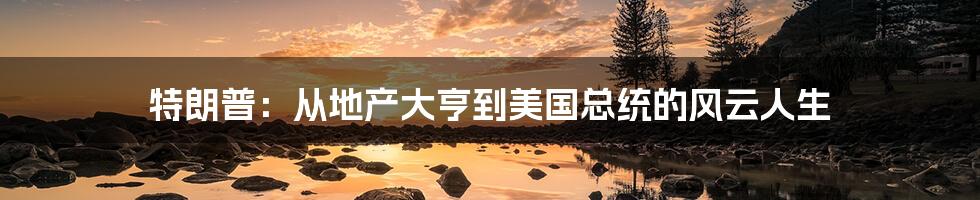 特朗普：从地产大亨到美国总统的风云人生