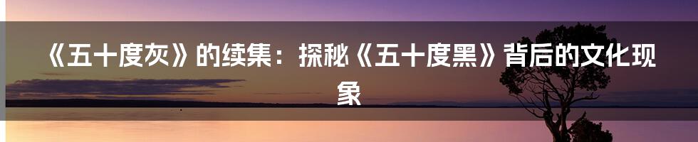 《五十度灰》的续集:探秘《五十度黑》背后的文化现象