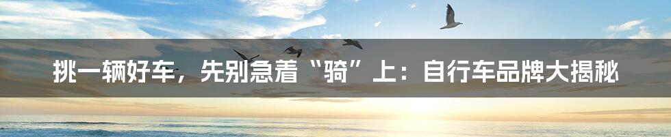 挑一辆好车,先别急着“骑”上:自行车品牌大揭秘