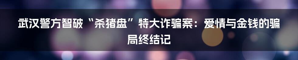 武汉警方智破“杀猪盘”特大诈骗案:爱情与金钱的骗局终结记