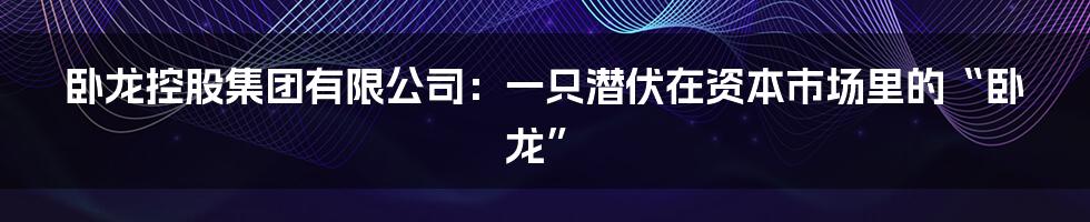 卧龙控股集团有限公司:一只潜伏在资本市场里的“卧龙”