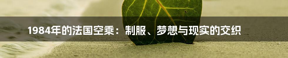 1984年的法国空乘:制服、梦想与现实的交织