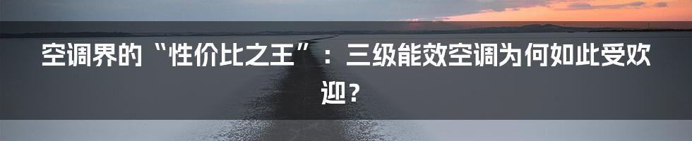 空调界的“性价比之王”：三级能效空调为何如此受欢迎？