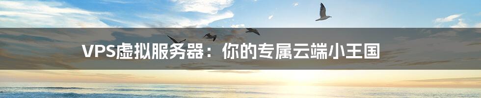 VPS虚拟服务器：你的专属云端小王国