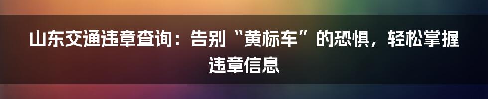 山东交通违章查询：告别“黄标车”的恐惧，轻松掌握违章信息