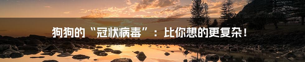 狗狗的“冠状病毒”：比你想的更复杂！
