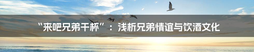 “来吧兄弟干杯”：浅析兄弟情谊与饮酒文化