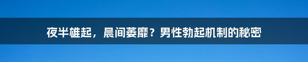 夜半雄起，晨间萎靡？男性勃起机制的秘密
