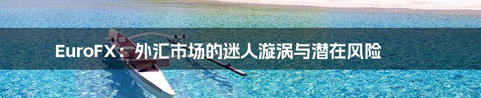 EuroFX：外汇市场的迷人漩涡与潜在风险