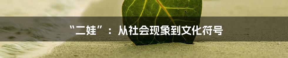 “二娃”:从社会现象到文化符号