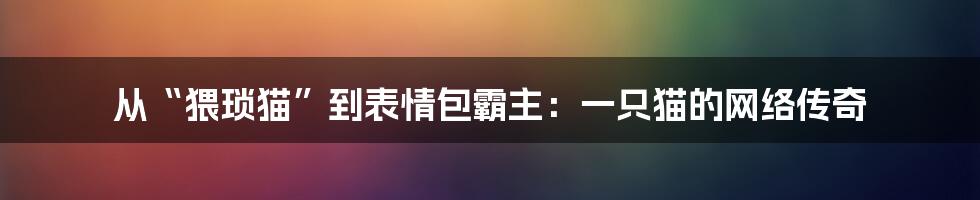 从“猥琐猫”到表情包霸主:一只猫的网络传奇